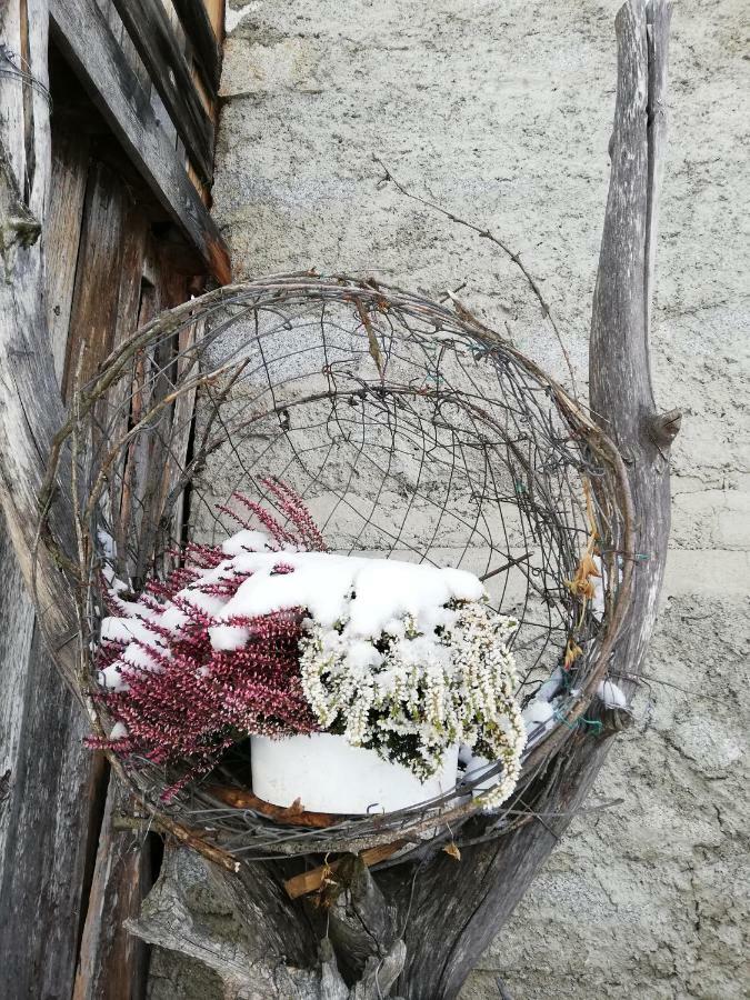 Zimmer - Hinterwalderhof Bed & Breakfast Rio di Pusteria ภายนอก รูปภาพ